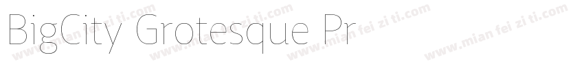 BigCity Grotesque Pr字体转换